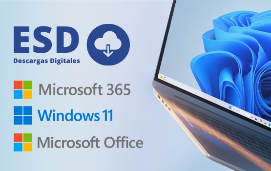 imagen principal blog